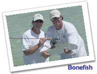 bonefish